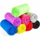 Royal Mikrofiber Plaj ve Sporcu Havlusu 